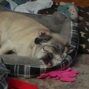 Meet your Posher, Kim